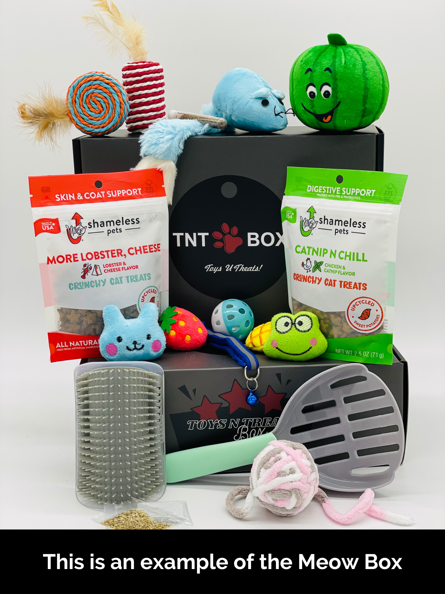 Toys N Treats Boxes – Surprise Boxes for Dogs & Cats | Woof Box & Meow Box