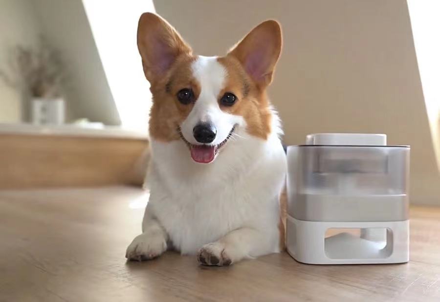 Jouet Distributeur de Nourriture Interactif pour Animaux de Compagnie Original et Amusant, Distributeur Lent pour Animaux de Compagnie, Jouet Contenant pour l'Alimentation Lente des Animaux de Compagnie
