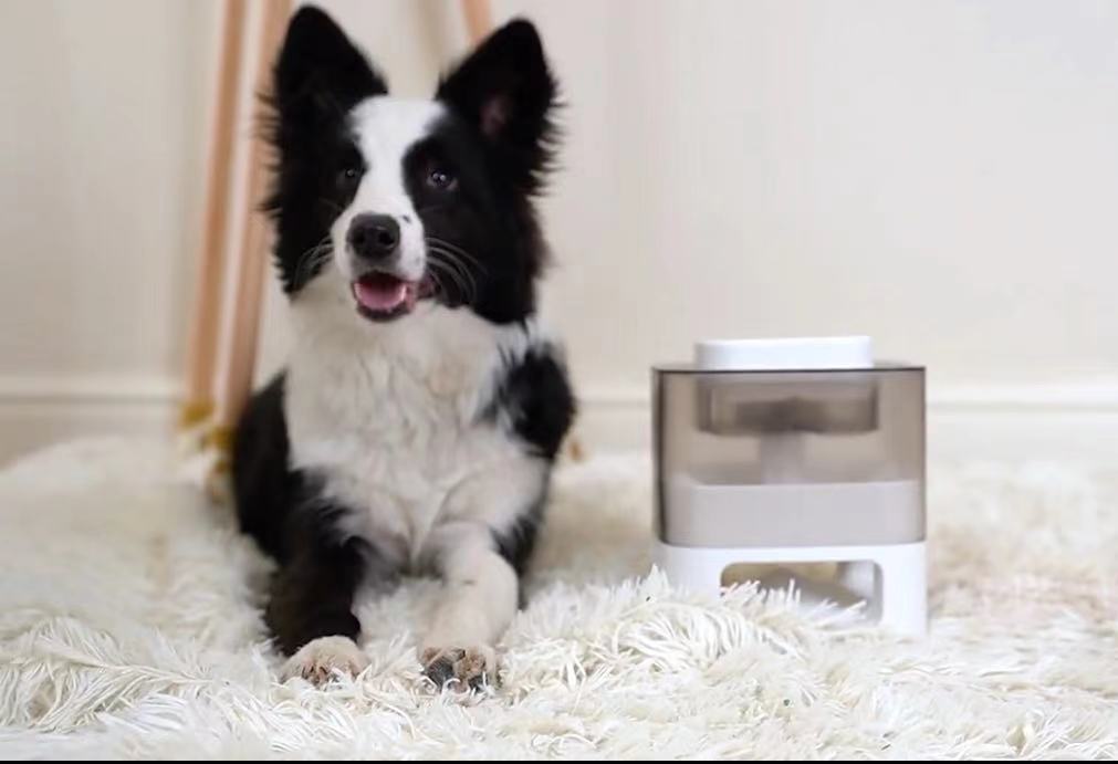 Jouet Distributeur de Nourriture Interactif pour Animaux de Compagnie Original et Amusant, Distributeur Lent pour Animaux de Compagnie, Jouet Contenant pour l'Alimentation Lente des Animaux de Compagnie