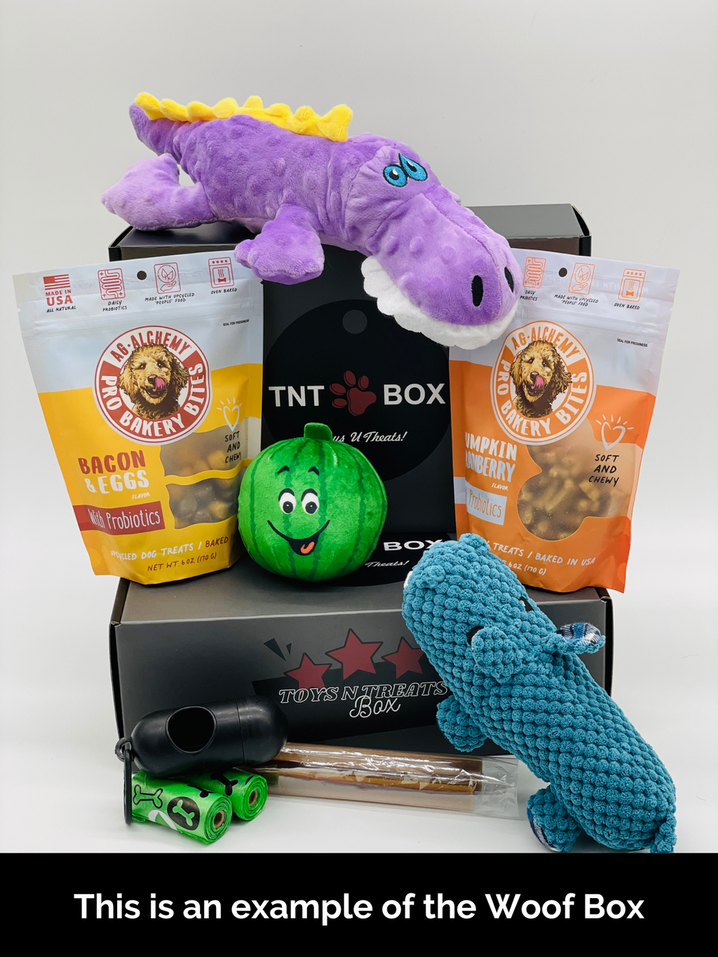 Toys N Treats Boxes – Surprise Boxes for Dogs & Cats | Woof Box & Meow Box