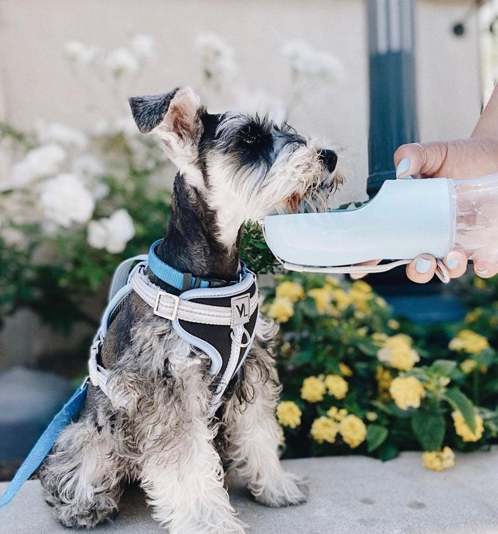 DISTRIBUTEUR DE NOURRITURE PORTABLE 2 EN 1 POUR ANIMAUX DE COMPAGNIE - GRIS CLAIR
