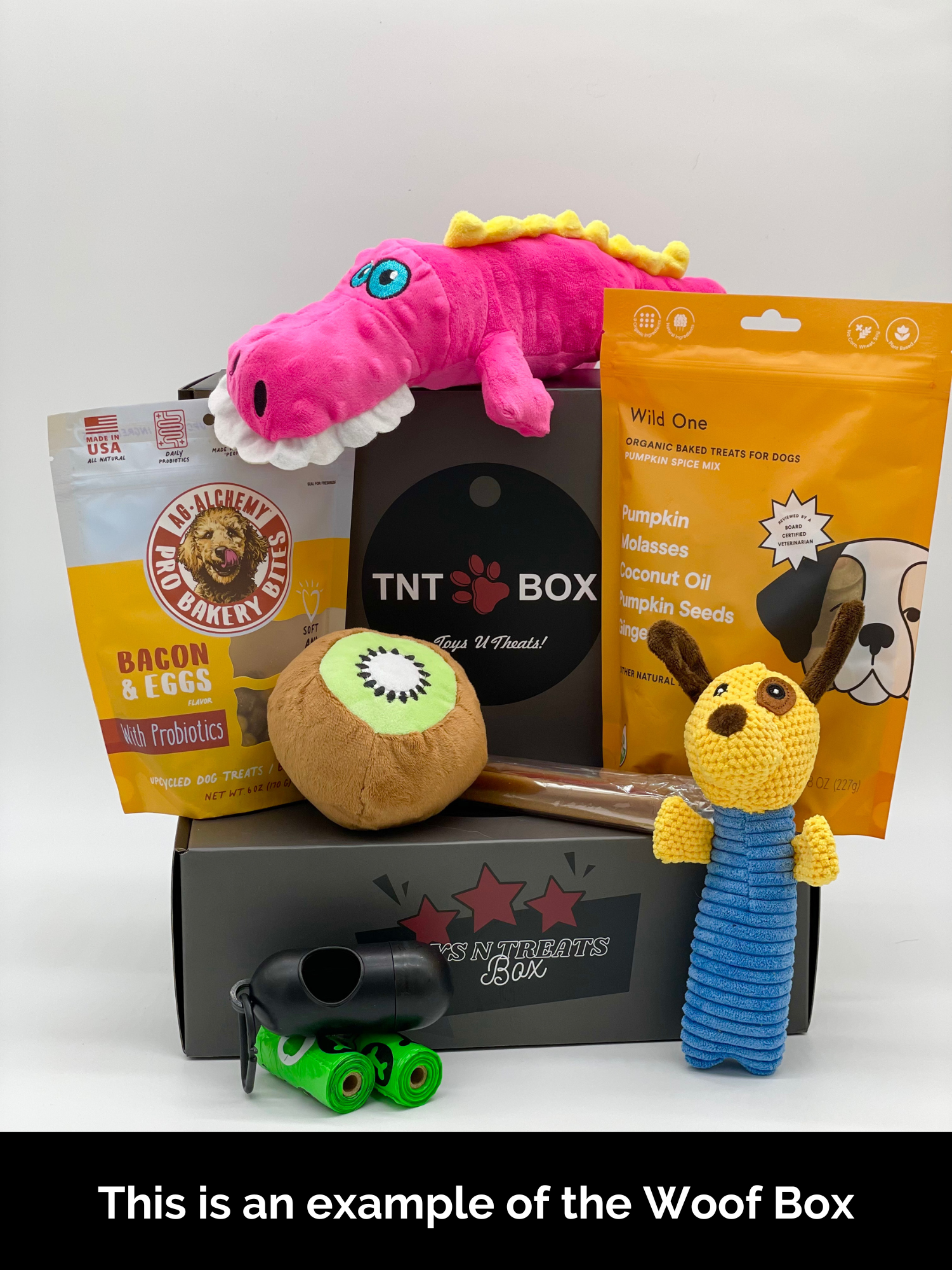 Toys N Treats Boxes – Surprise Boxes for Dogs & Cats | Woof Box & Meow Box