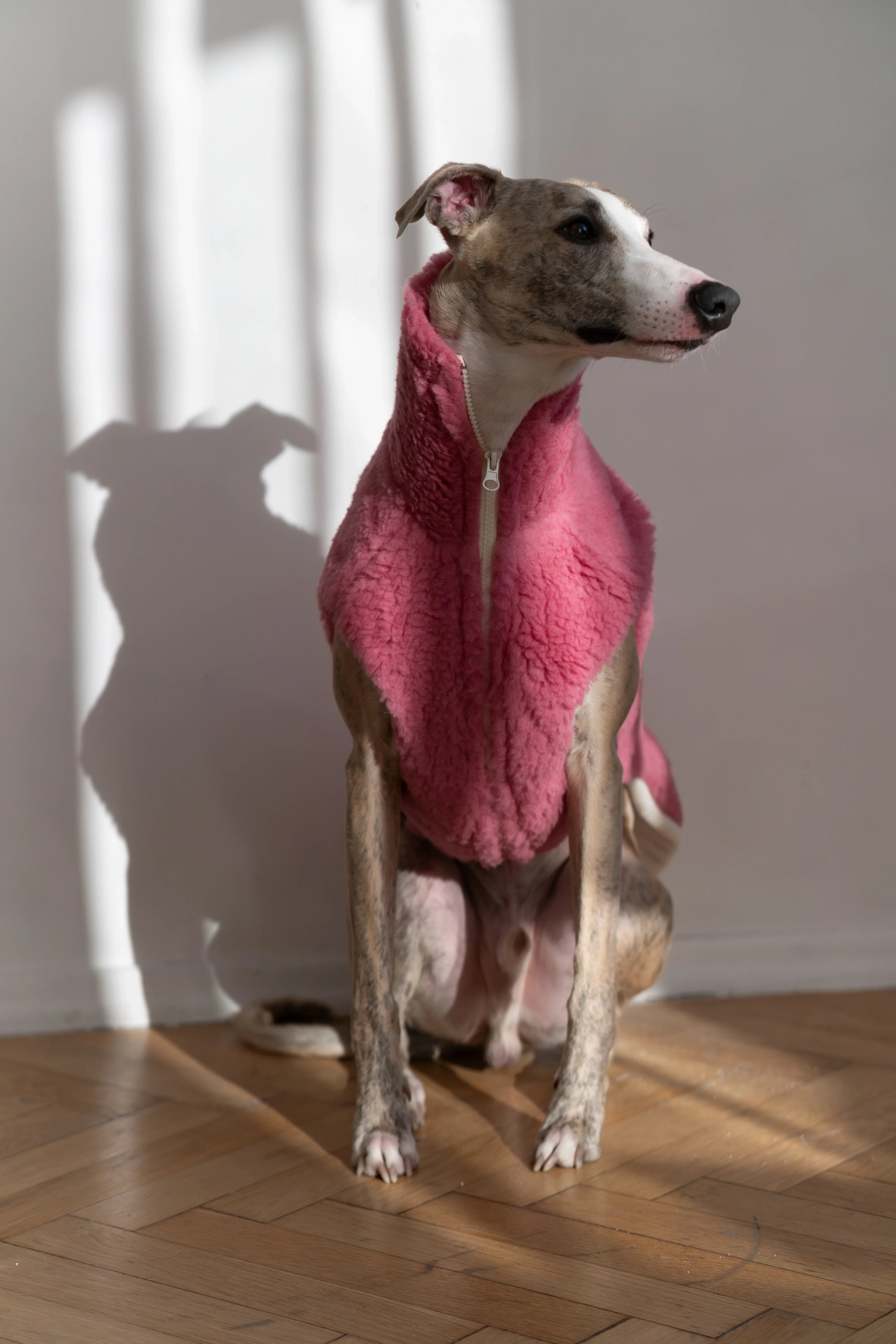 Gilet pour chien en laine – Rose | Fait sur mesure | Fait main en Pologne