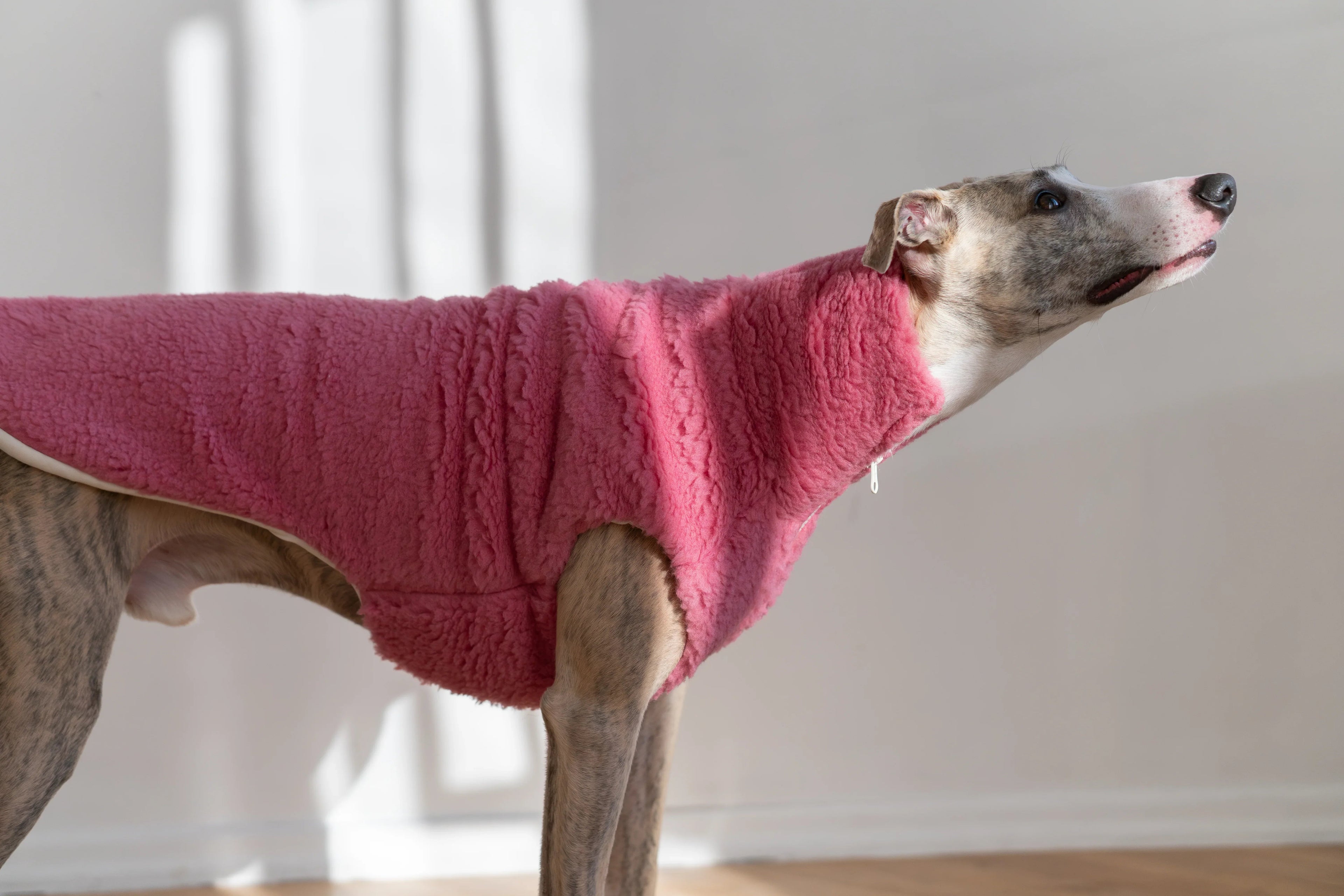 Gilet pour chien en laine – Rose | Fait sur mesure | Fait main en Pologne