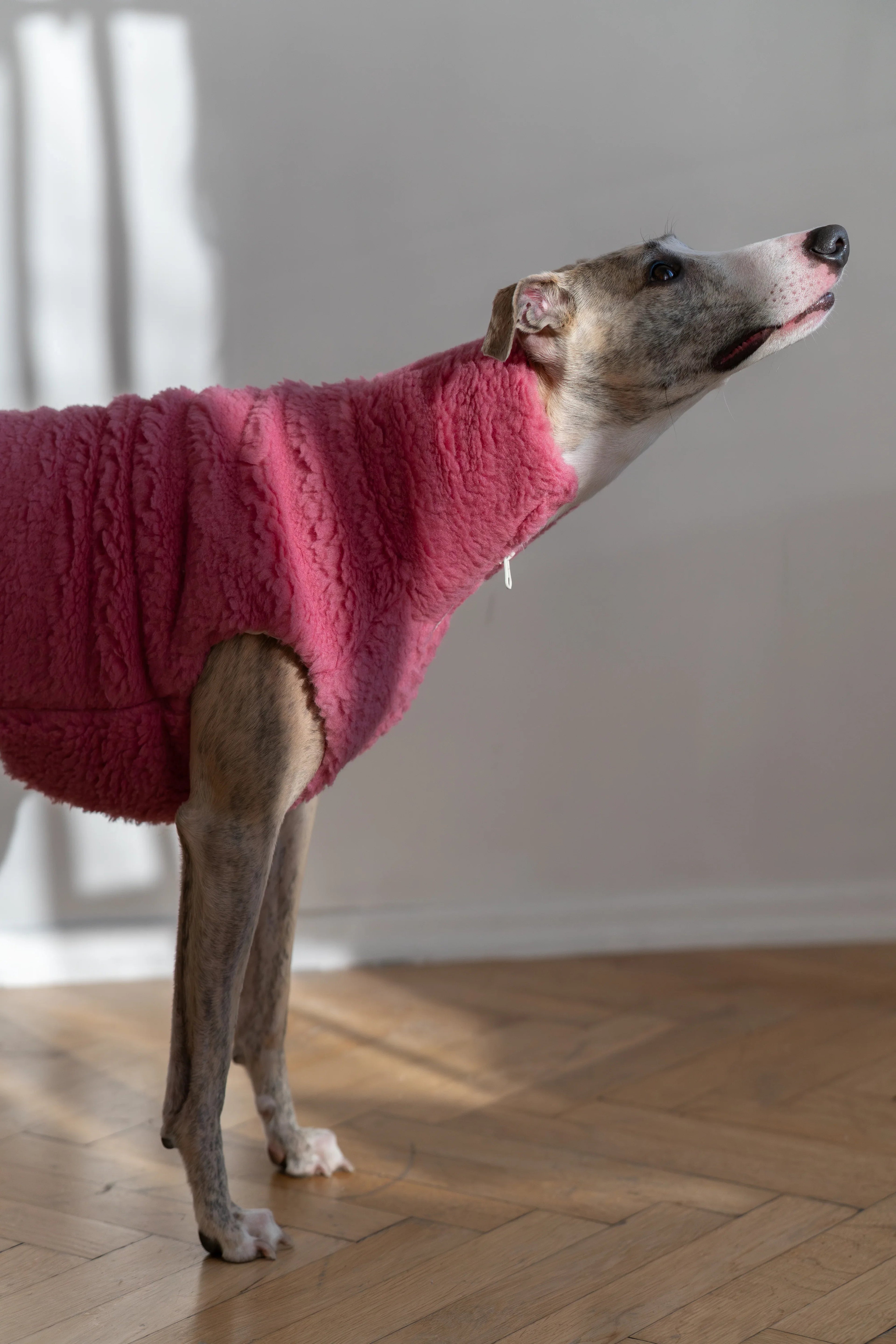 Gilet pour chien en laine – Rose | Fait sur mesure | Fait main en Pologne