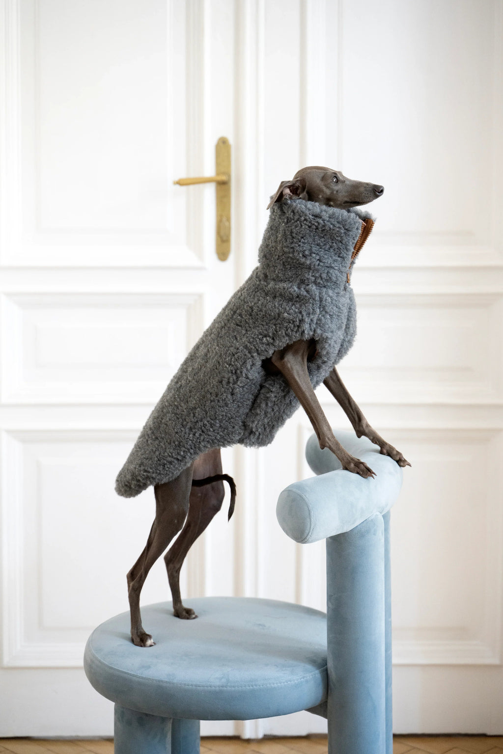 Gilet pour chien en laine – Gris foncé | Sur mesure | Fabriqué à la main en Pologne