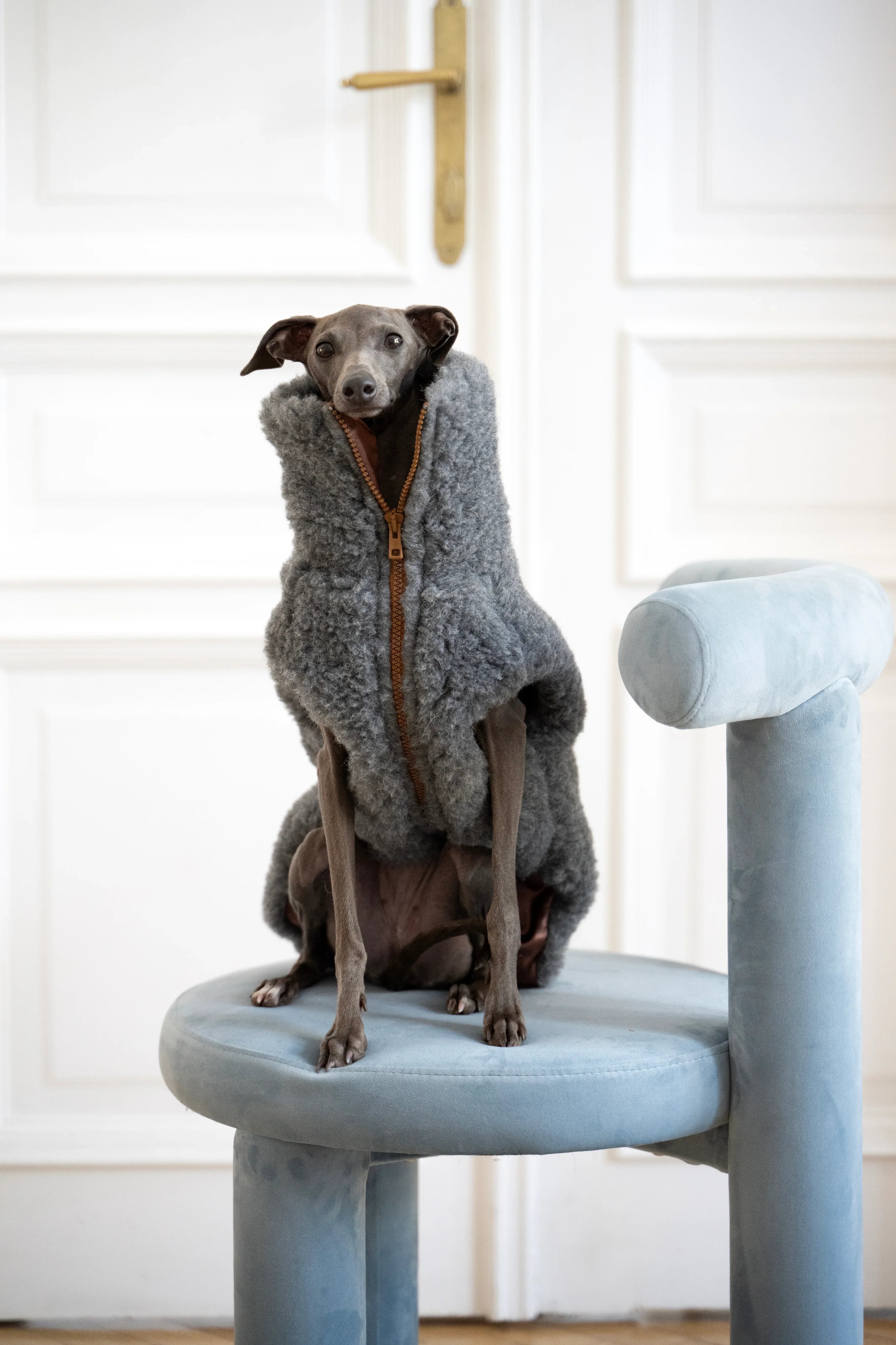 Gilet pour chien en laine – Gris foncé | Sur mesure | Fabriqué à la main en Pologne