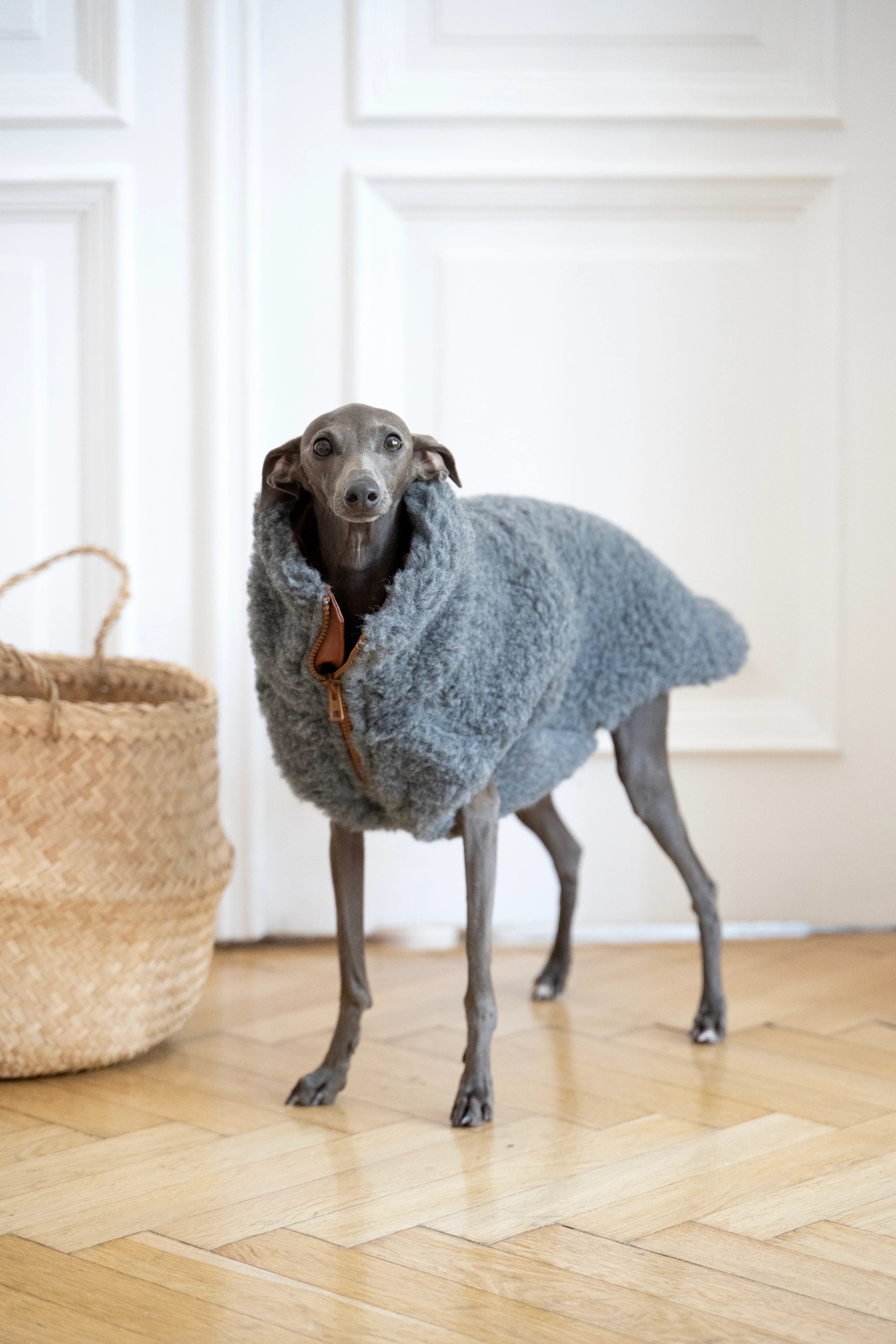 Gilet pour chien en laine – Gris foncé | Sur mesure | Fabriqué à la main en Pologne