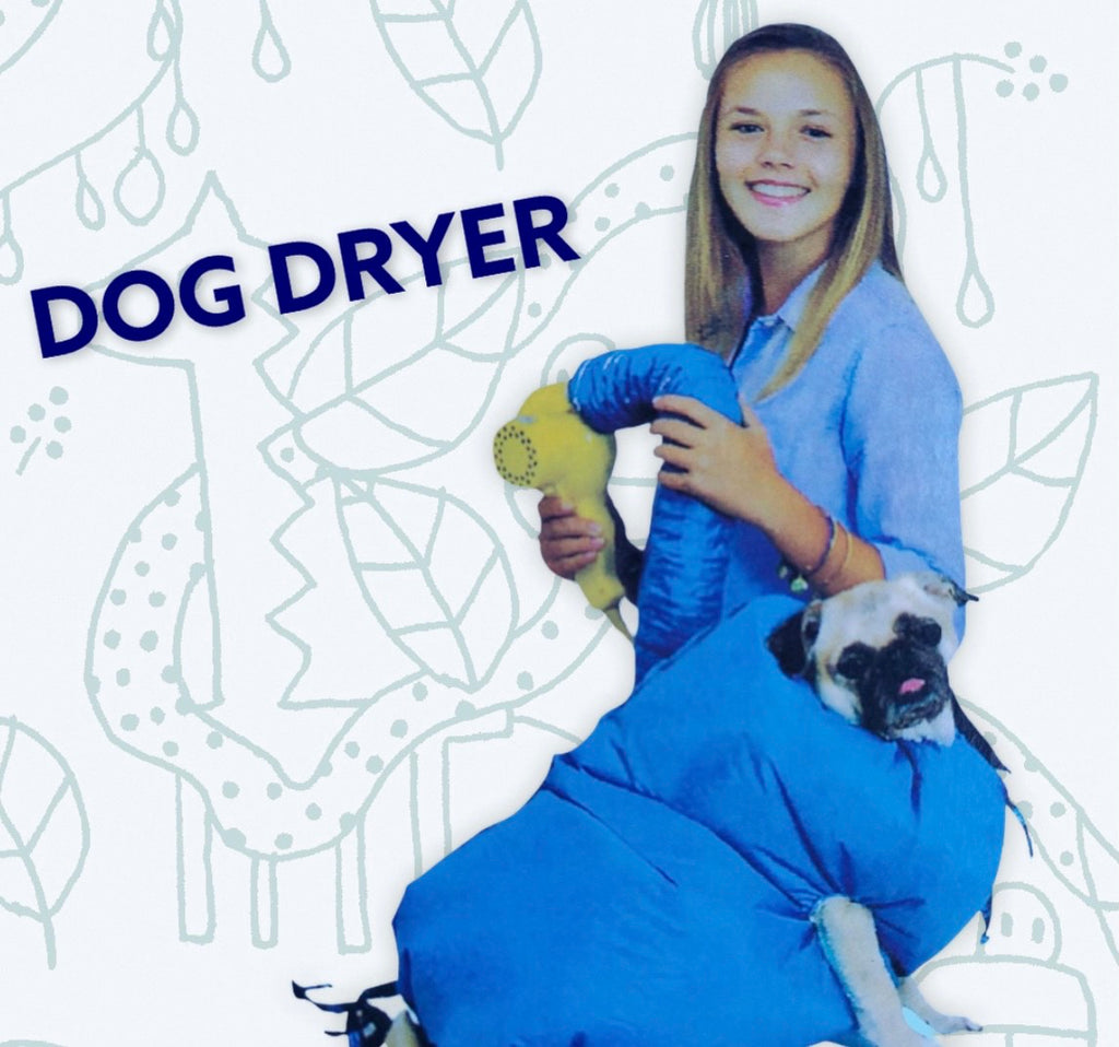 Sèche-chien facile et sac de toilettage pour animaux de compagnie