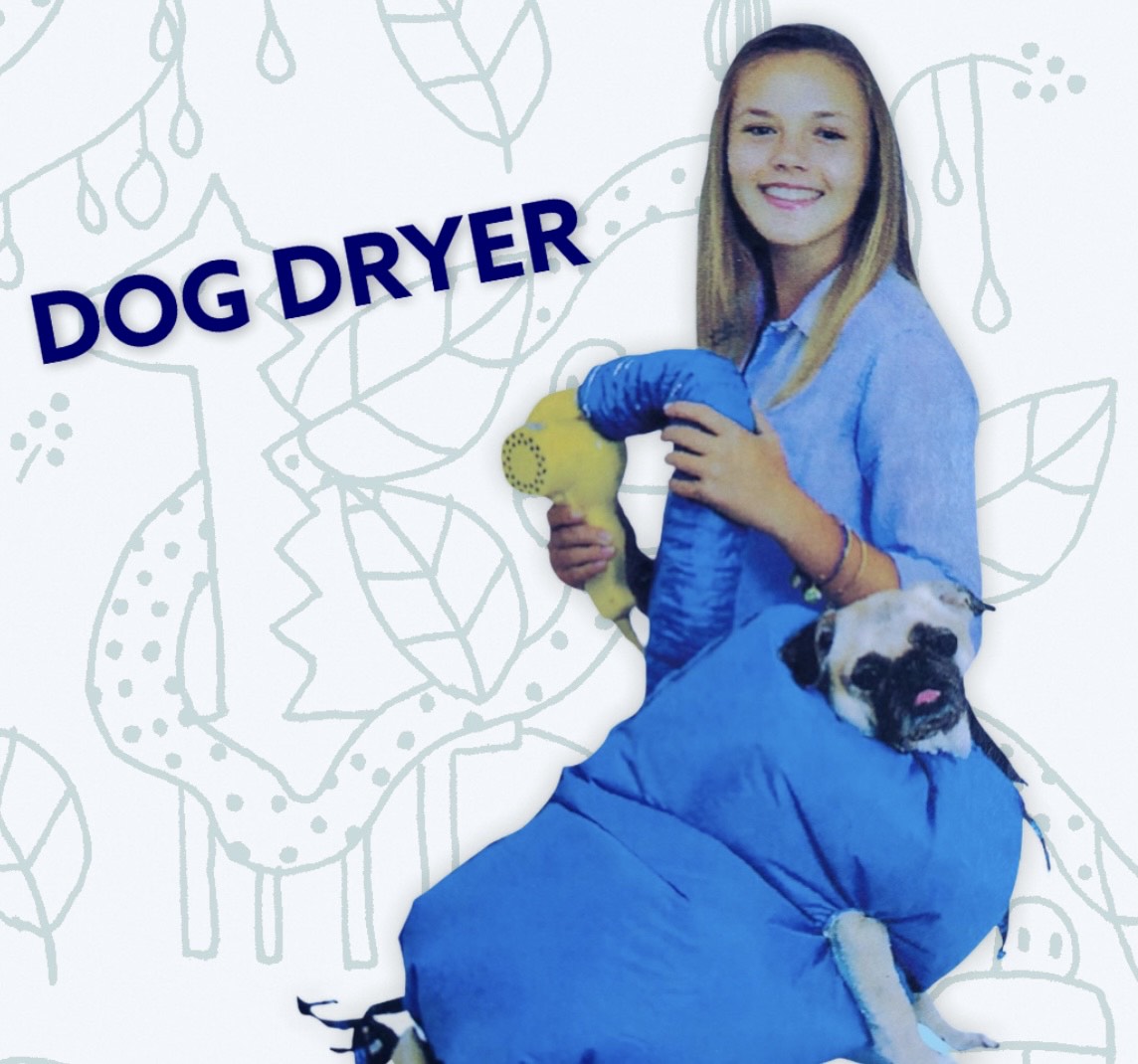 Sèche-chien facile et sac de toilettage pour animaux de compagnie