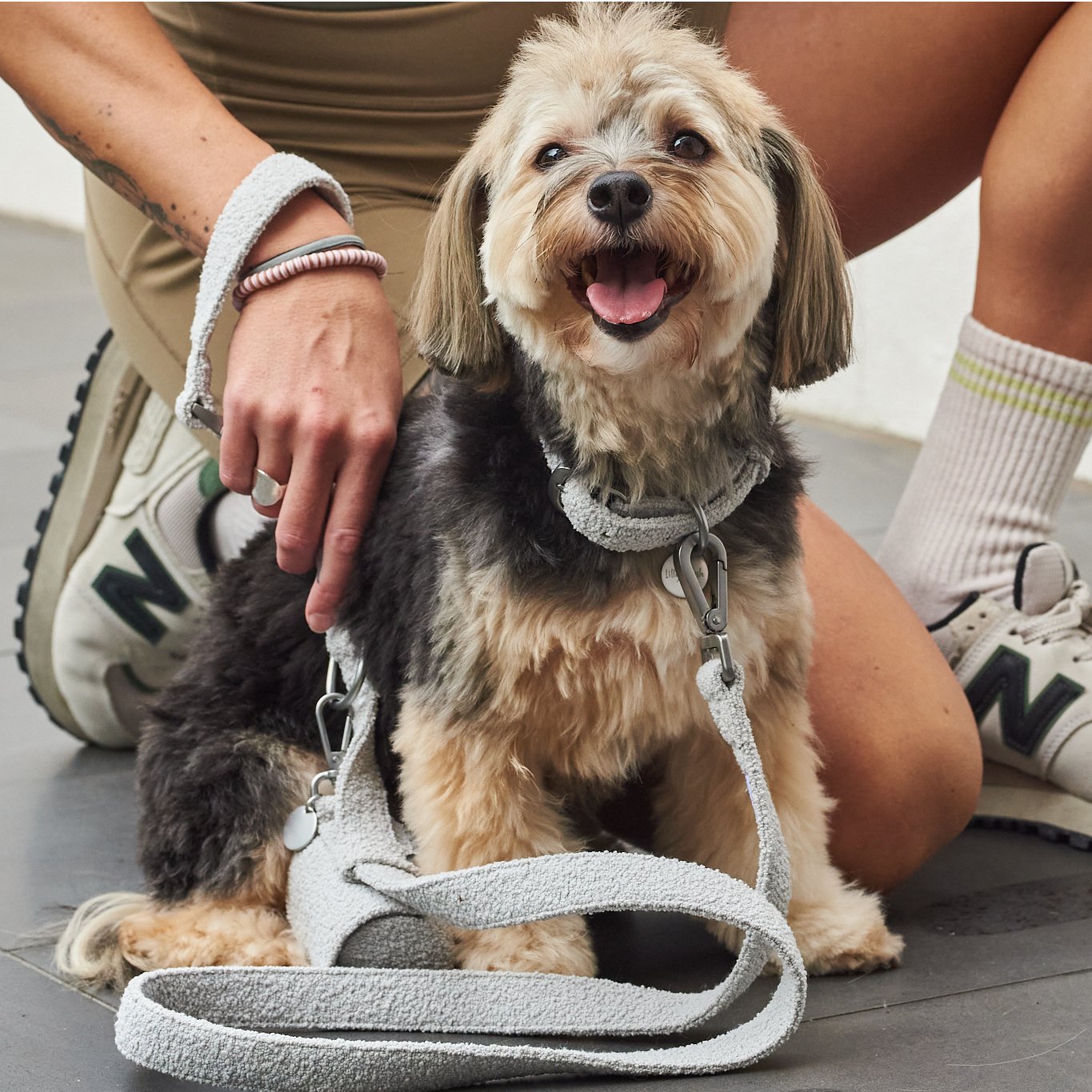 Soft Dog Leashes – Charcoal, Cloud, Sage & Terracotta | Natural Collection