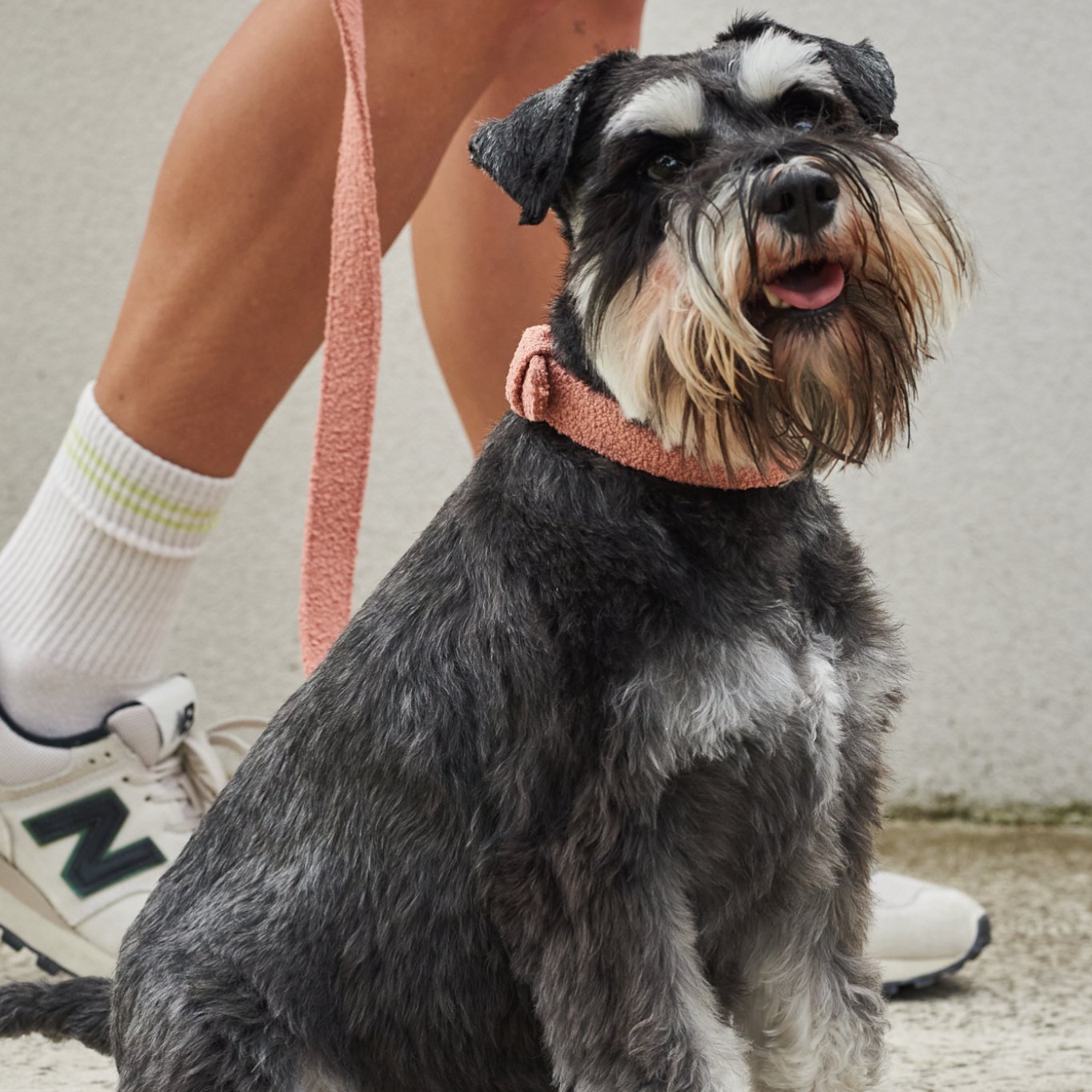 Soft Dog Leashes – Charcoal, Cloud, Sage & Terracotta | Natural Collection