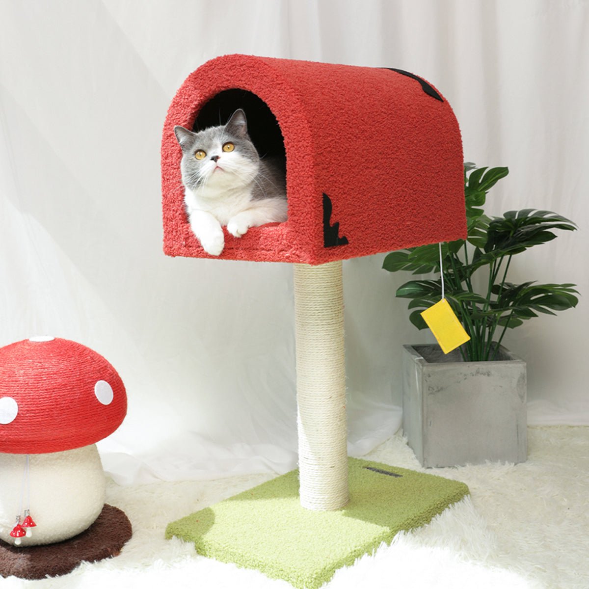 Arbre à chat avec poteau à grimper et boîte aux lettres rouge