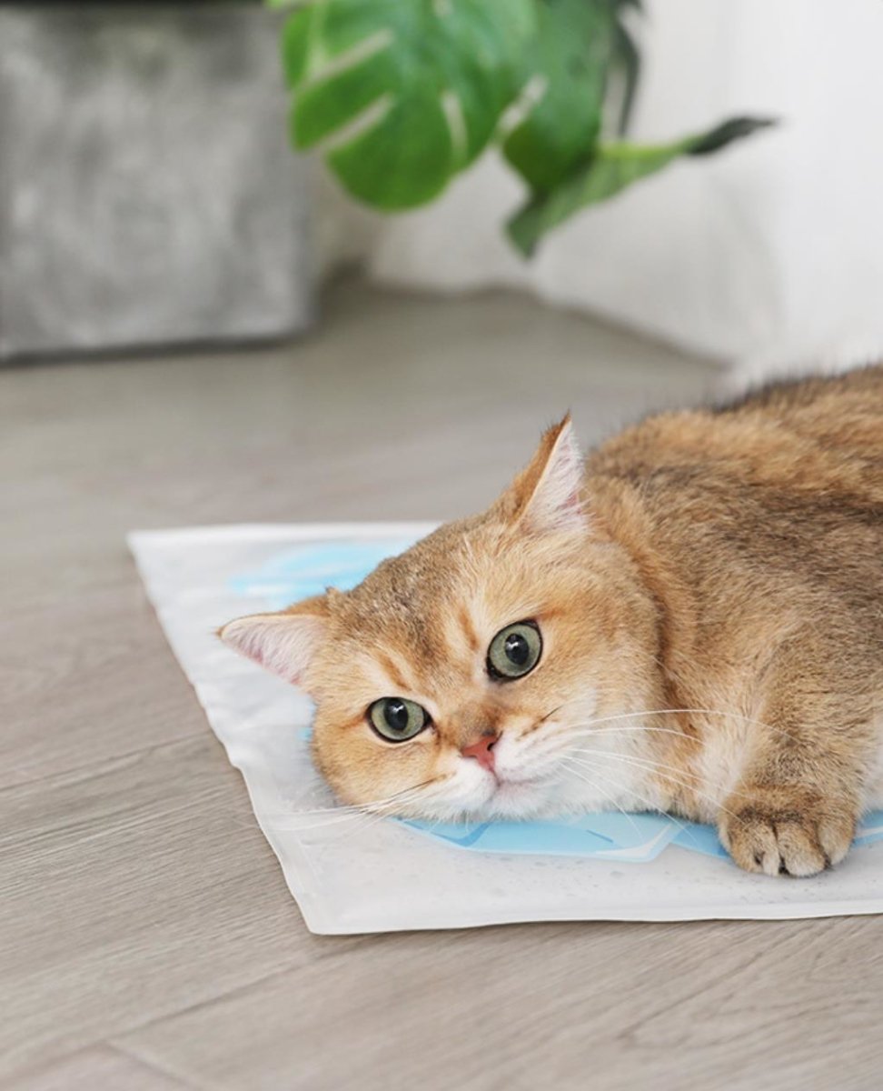 Tapis de Glace Rafraîchissant pour Animaux de Compagnie