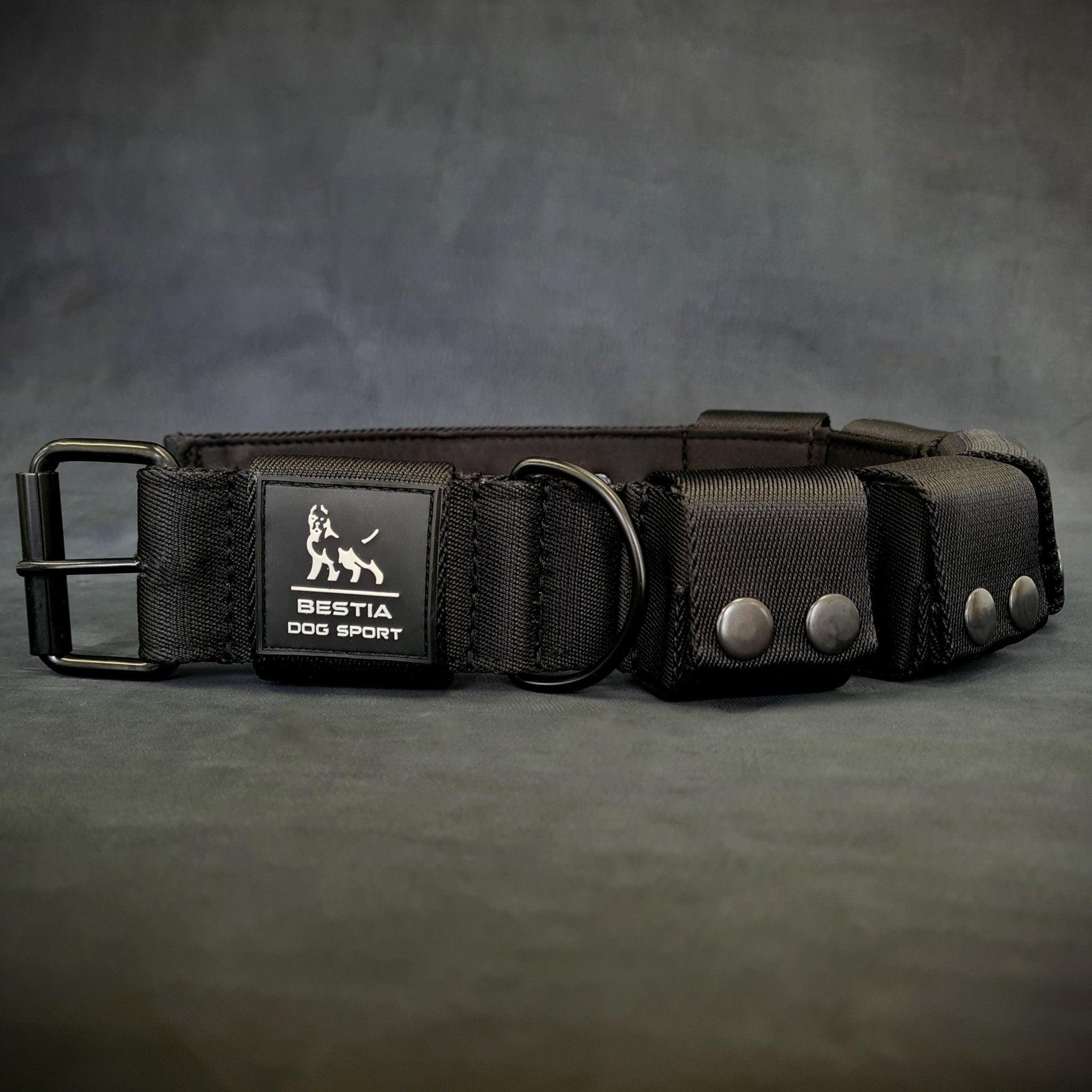 Weighted Training Collar with Removable Weights – Large Breeds | BESTIA DOG SPORT