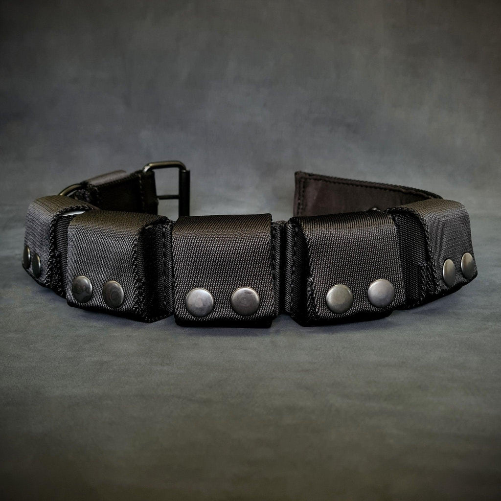 Weighted Training Collar with Removable Weights – Large Breeds | BESTIA DOG SPORT